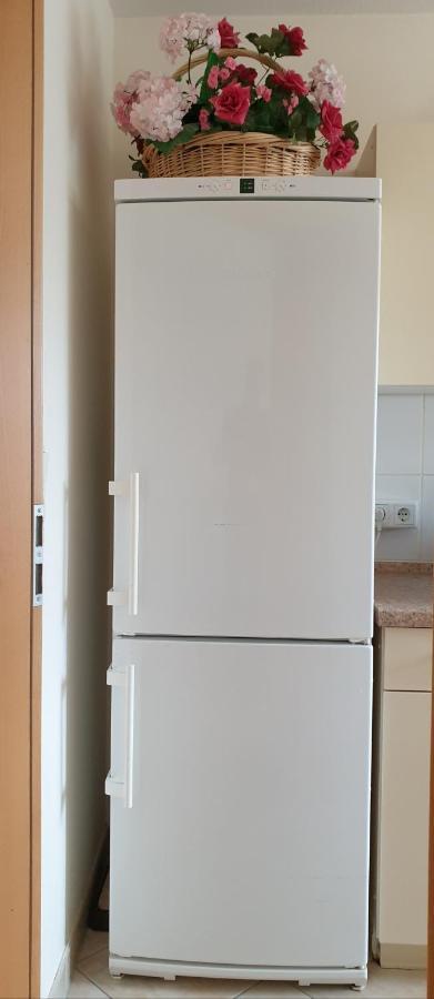 Ferienwohnung Maria - バート・キッシンゲン エクステリア 写真
